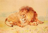 Famous Lion Paintings - Lion
